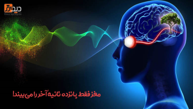 ارتباط مغز و چشم ما